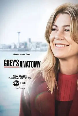 实习医生格蕾 第十五季 Grey's Anatomy Season 15封面图