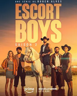 应召男郎 第二季封面图