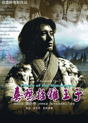 喜马拉雅王子封面图