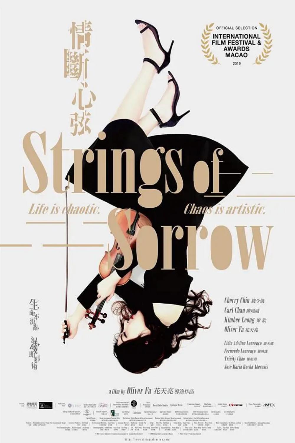 情断心弦封面图