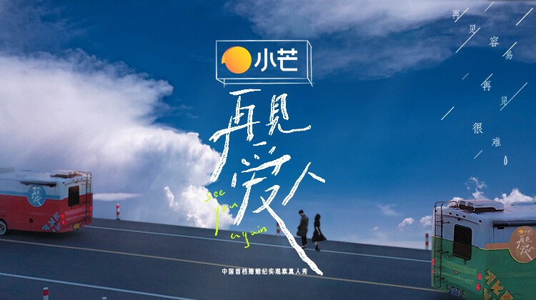 再见爱人封面图