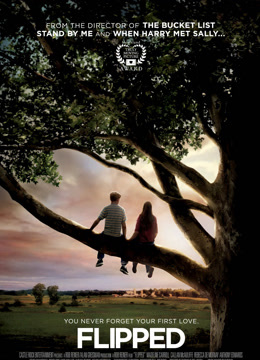 怦然心动封面图