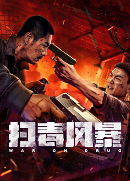 扫毒风暴封面图