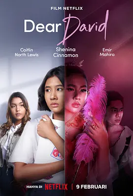 亲爱的大卫(2023)封面图