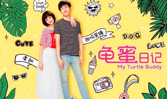 龟蜜日记封面图