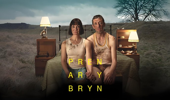 山丘上的树封面图