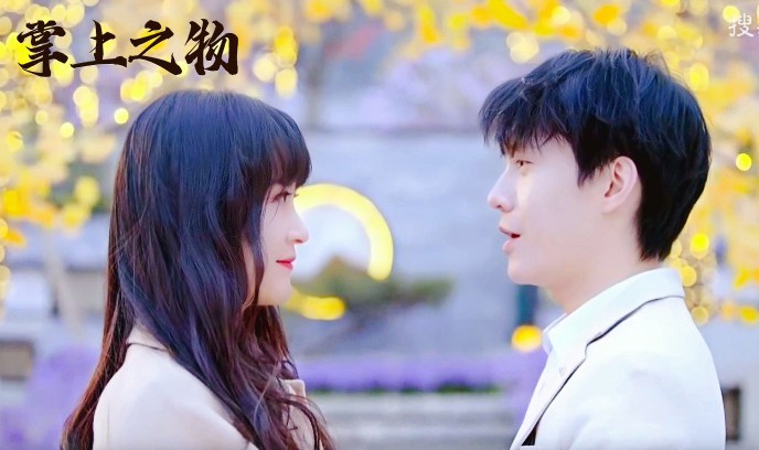 掌上之物封面图