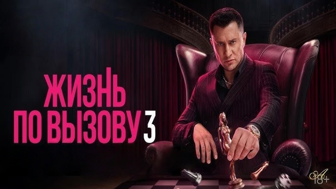 应召生涯3封面图