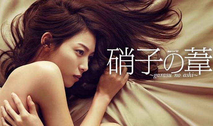 玻璃芦苇封面图