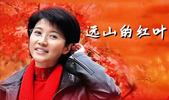 远山的红叶封面图