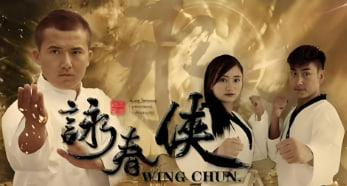 咏春侠封面图