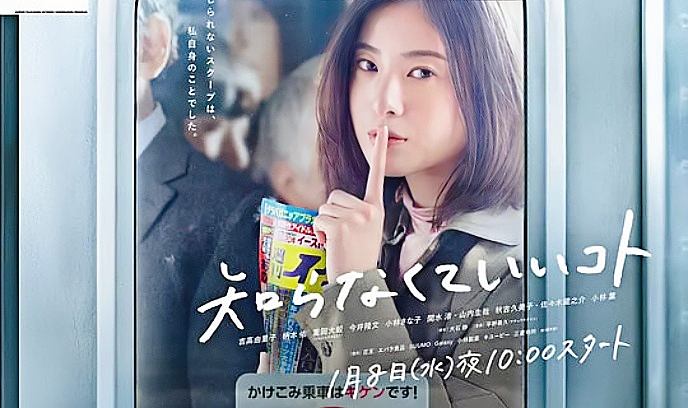 不知也无妨封面图