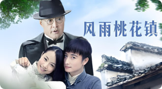 风雨桃花镇封面图