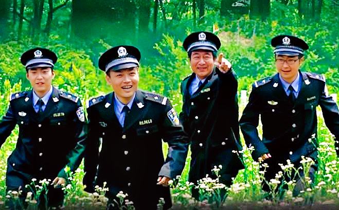 又是一年山林绿封面图