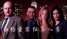 纽约重案组 第八季封面图