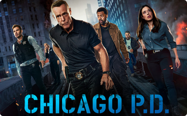 芝加哥急救 第十二季封面图