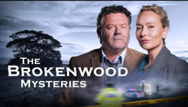 断林镇谜案 第十一季封面图