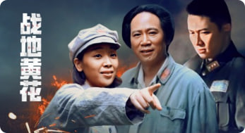 战地黄花封面图