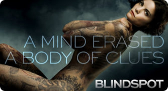 盲点 第一季封面图