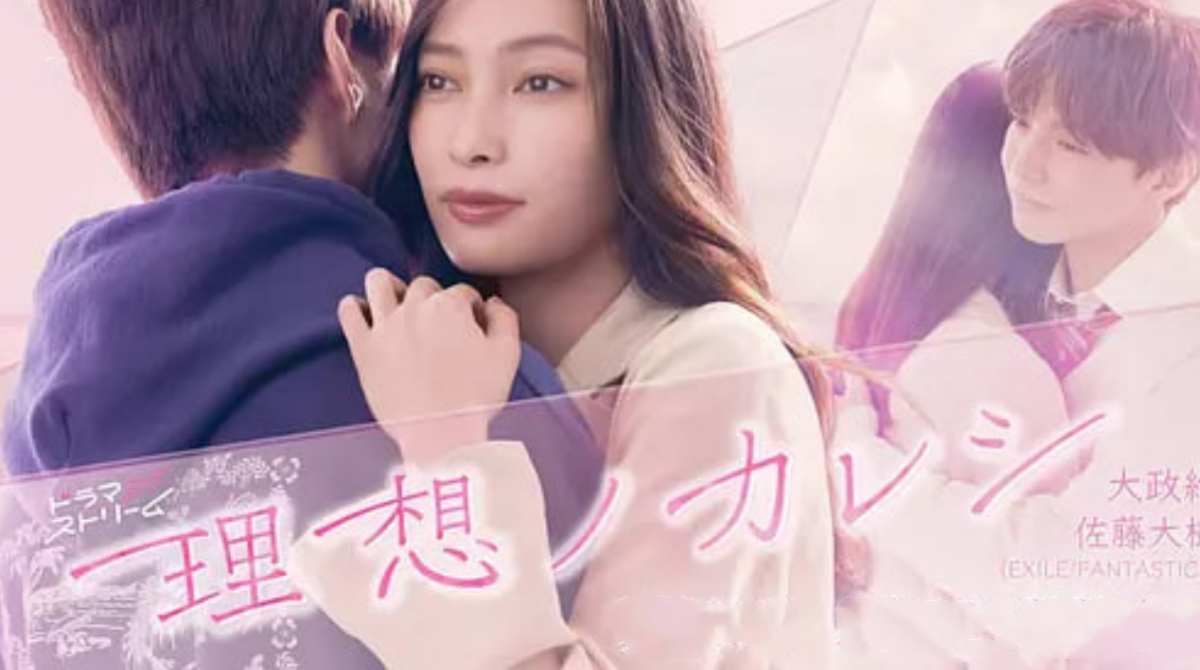 理想男友封面图