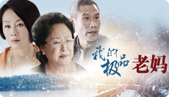 我的极品老妈封面图