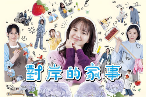 对岸的家务事封面图