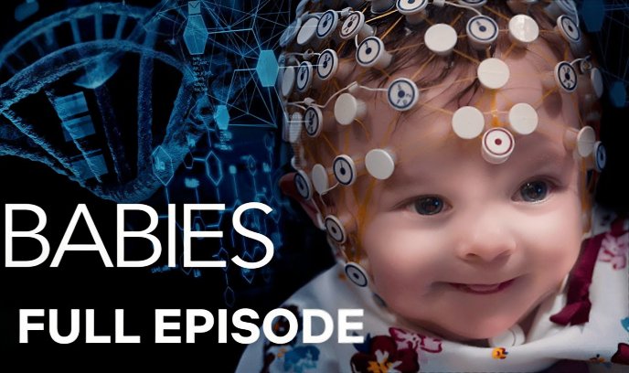 宝宝的第一年 第一季封面图