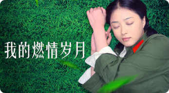 我的燃情岁月封面图