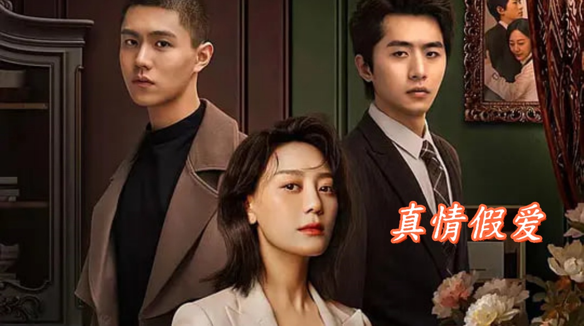 真情假爱封面图