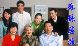 麻辣婆媳封面图