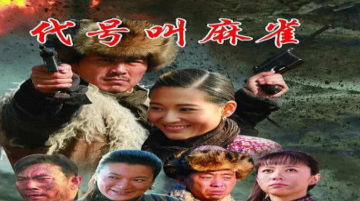 代号叫麻雀封面图