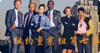 纽约重案组 第七季封面图