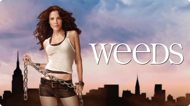 单身毒妈 第七季封面图