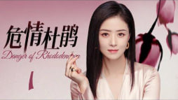 危情杜鹃封面图