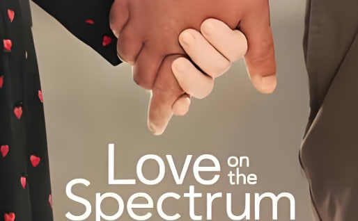 自闭也有爱(美版) 第三季封面图