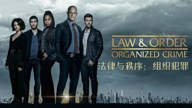 法律与秩序：组织犯罪 第四季封面图