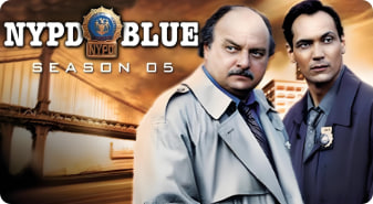 纽约重案组 第五季封面图