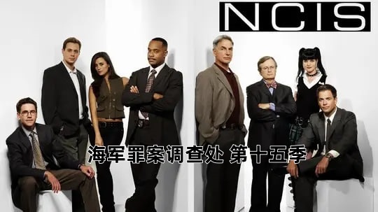 海军罪案调查处 第十五季封面图