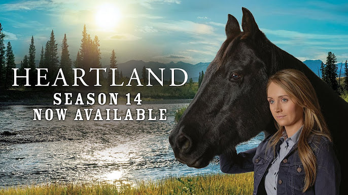 心灵之地 第十四季封面图