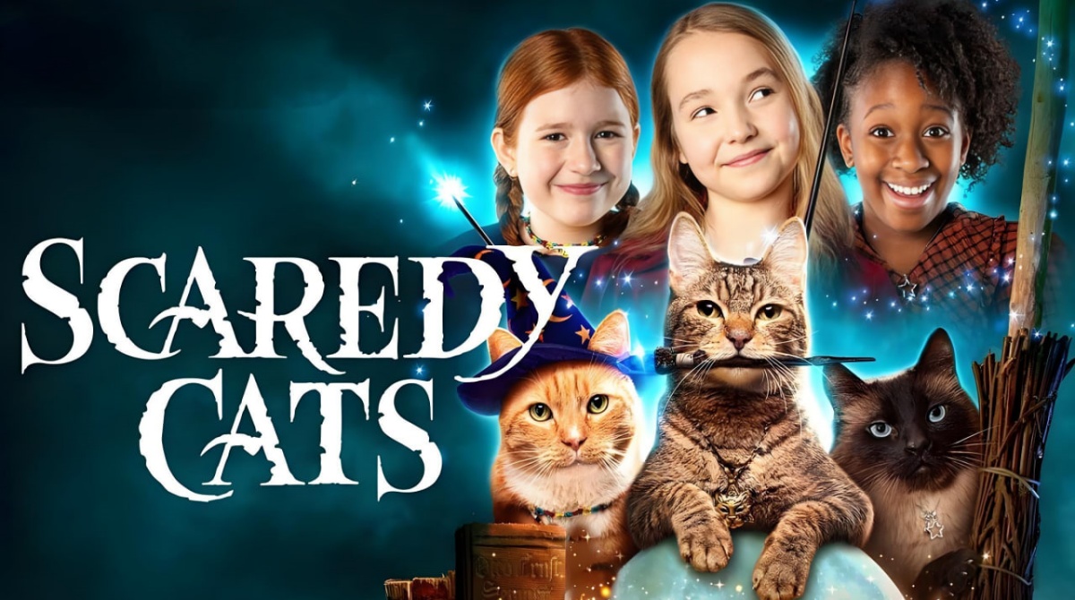 胆小猫 第一季封面图