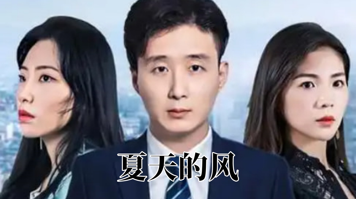 夏天的风封面图