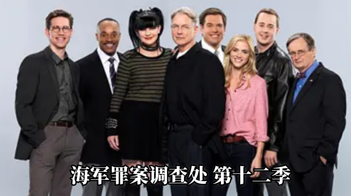 海军罪案调查处 第十二季封面图