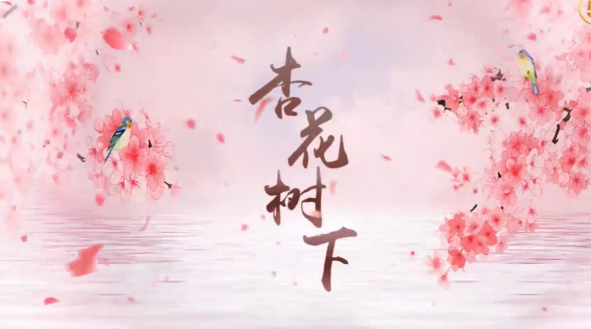 杏花树下封面图