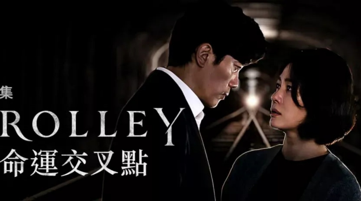 命运交叉点封面图