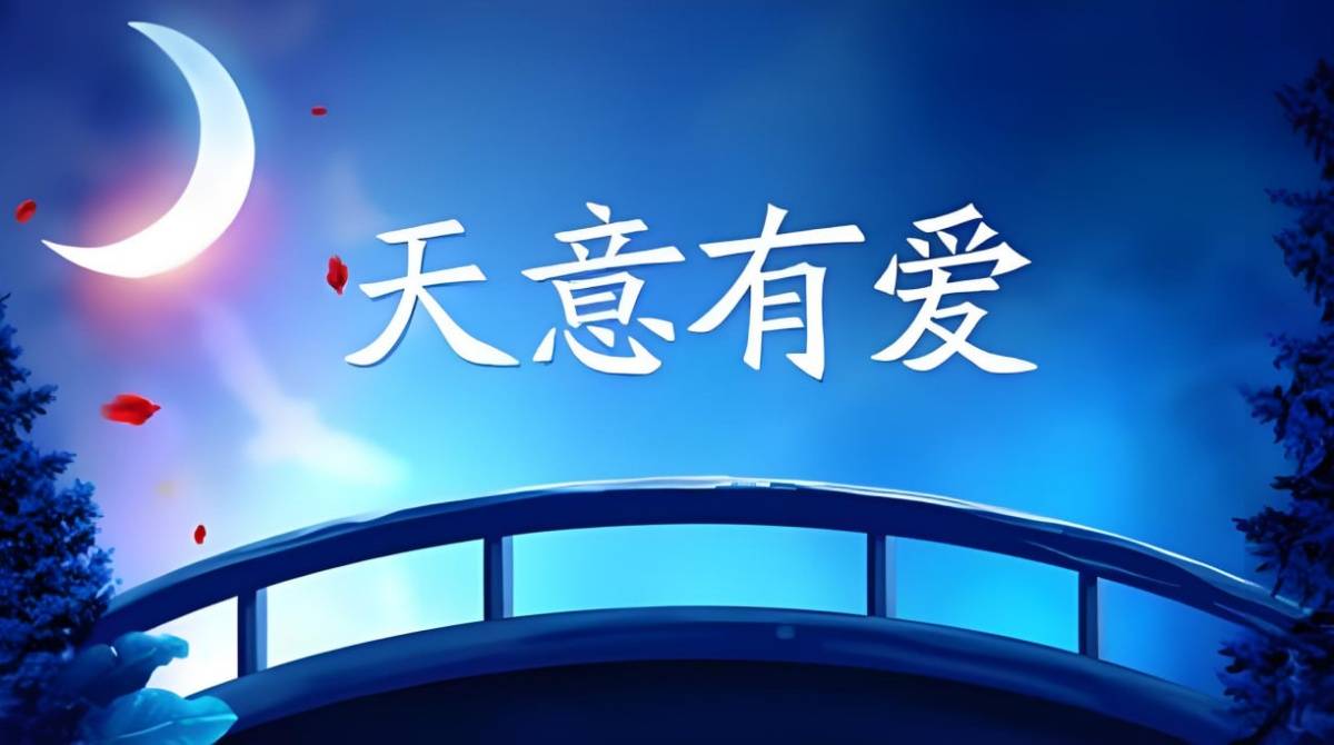 天意有爱封面图