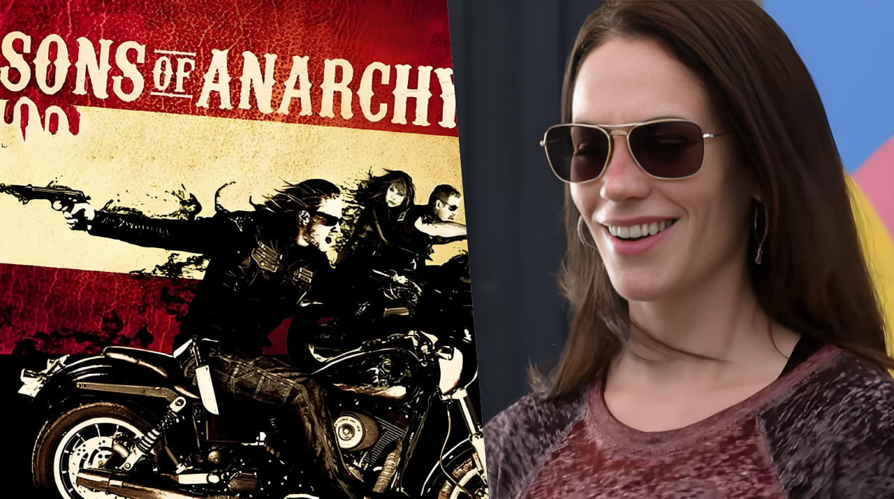 混乱之子 第二季封面图