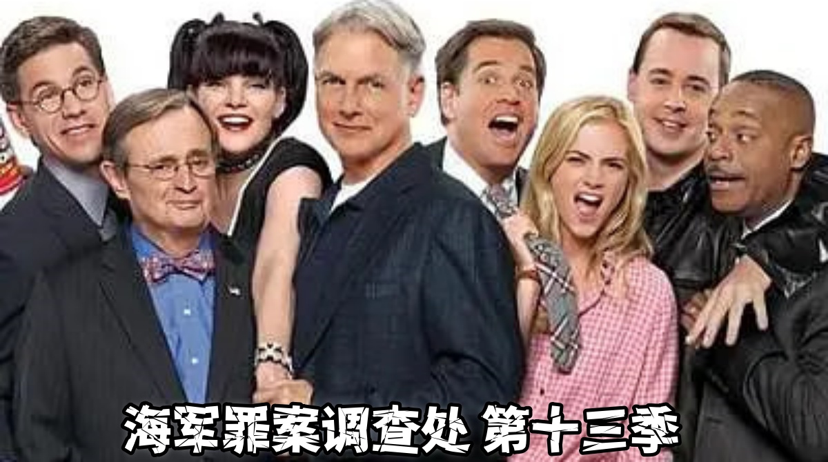 海军罪案调查处 第十三季封面图