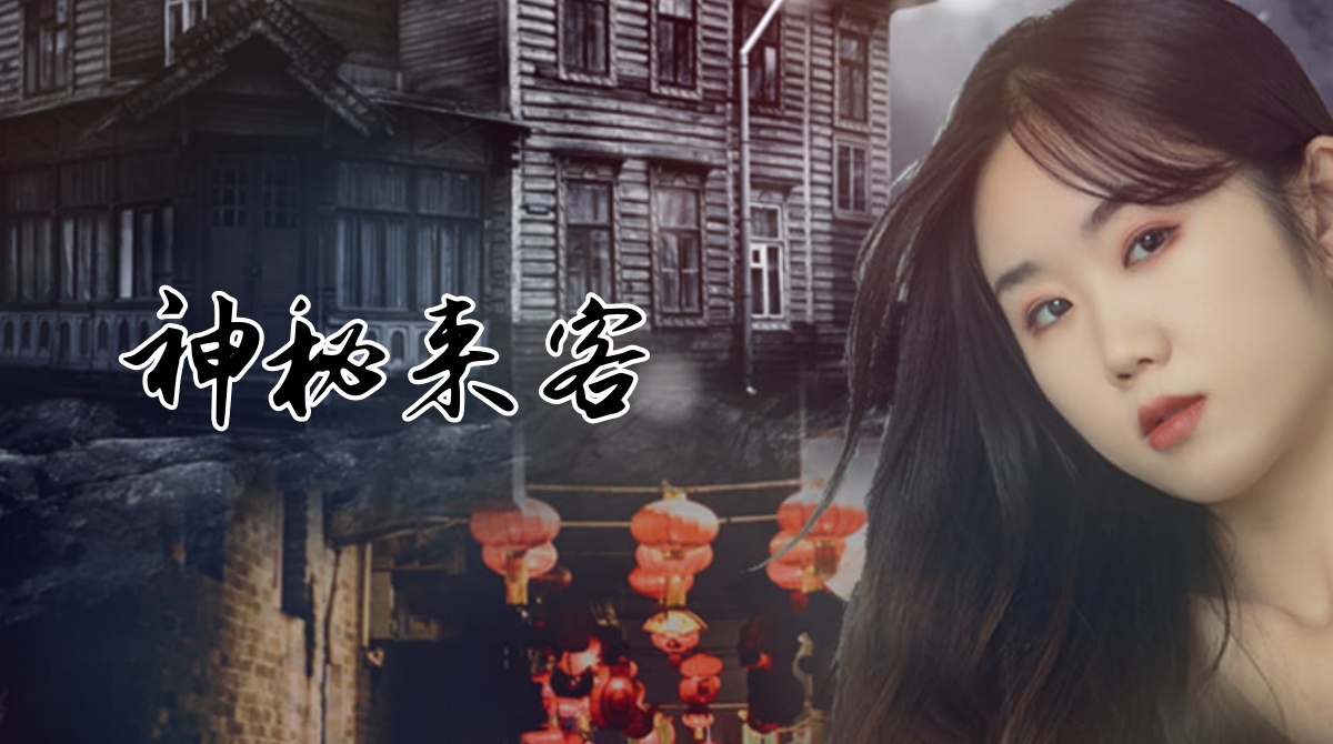 神秘来客封面图