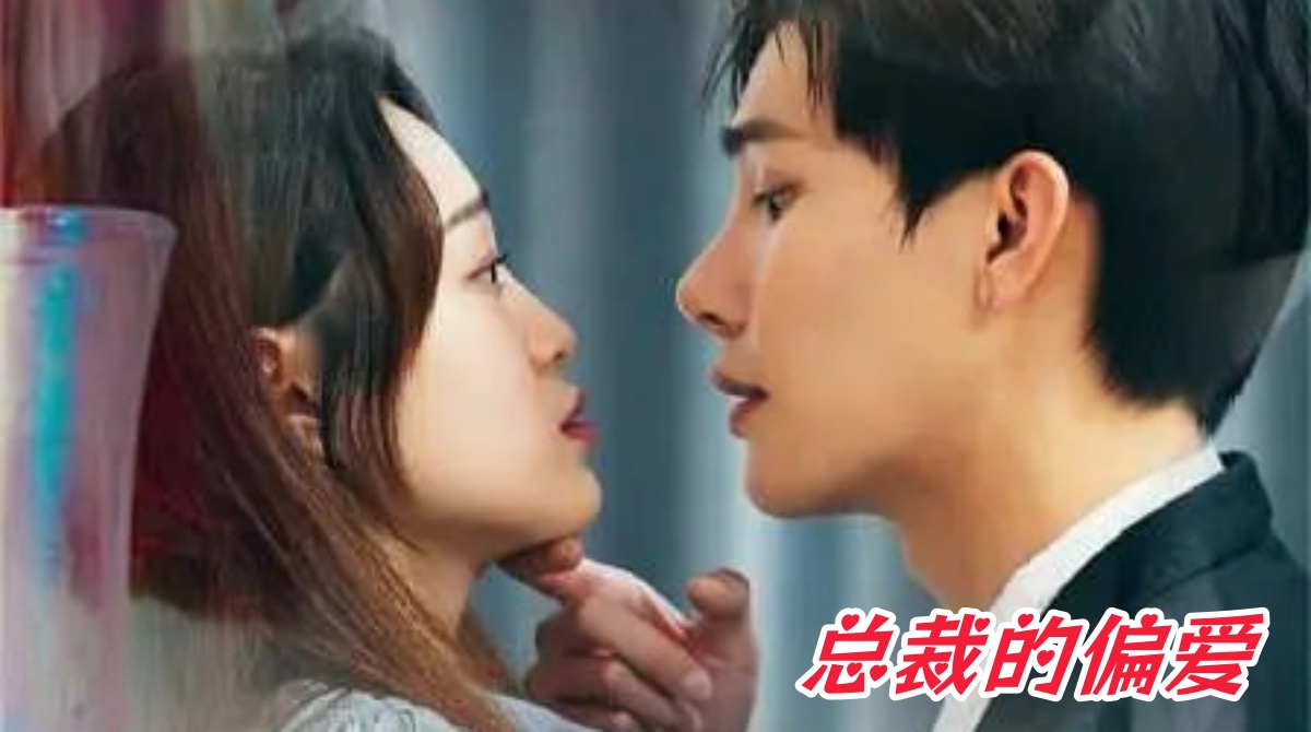 总裁的偏爱封面图