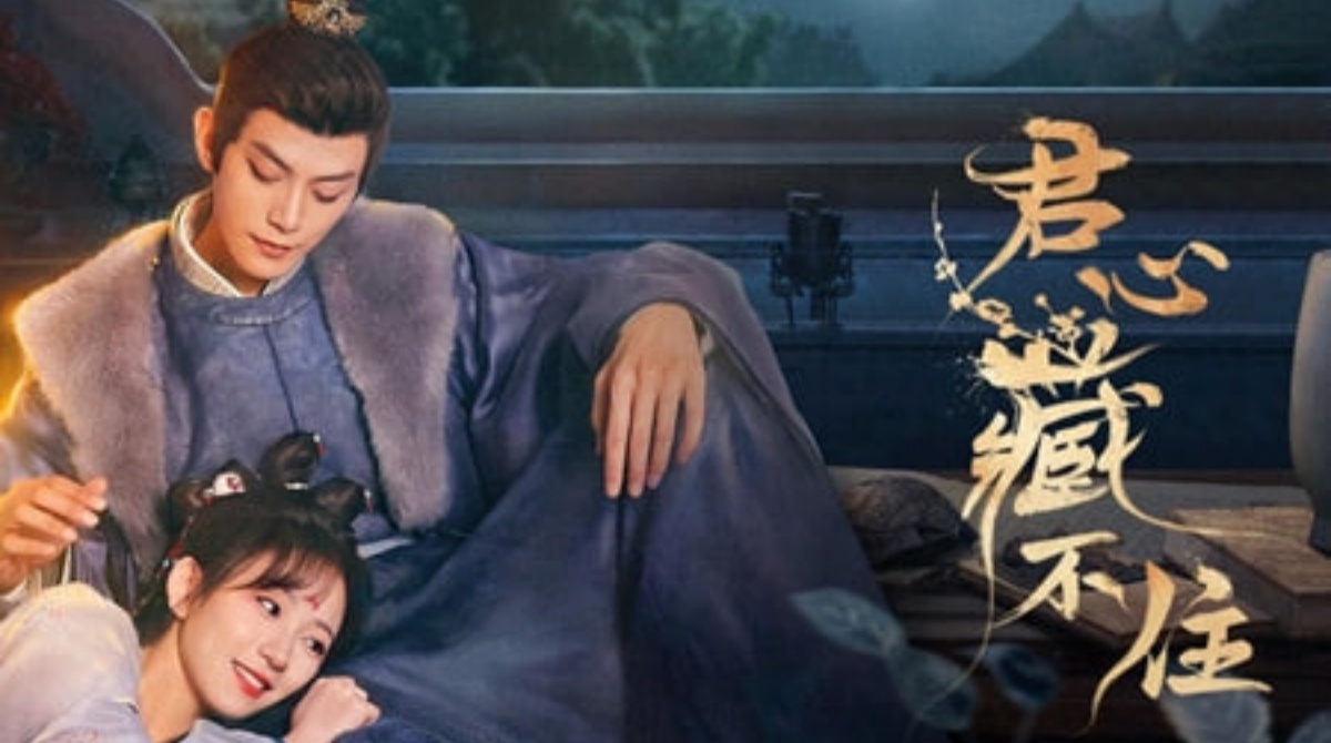 君心藏不住封面图